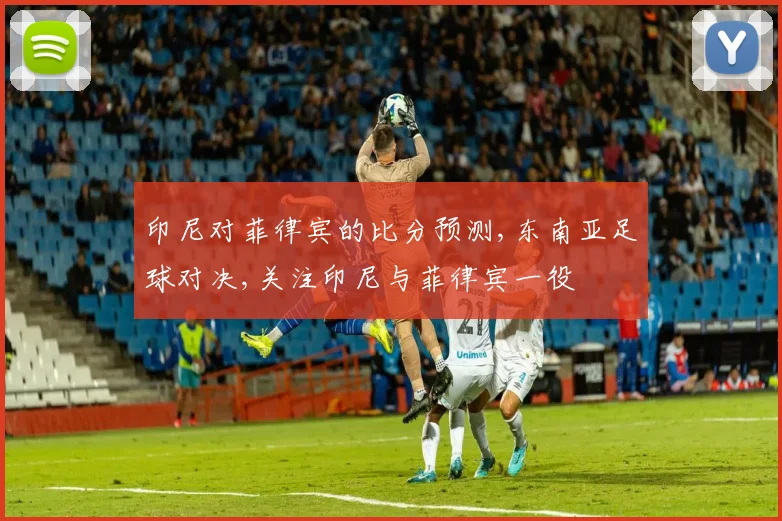 印尼对菲律宾的比分预测,东南亚足球对决,关注印尼与菲律宾一役