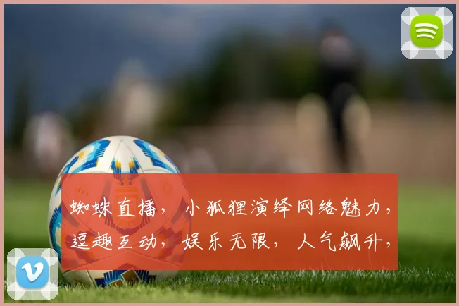 蜘蛛直播，小狐狸演绎网络魅力，逗趣互动，娱乐无限，人气飙升，直播新风尚
