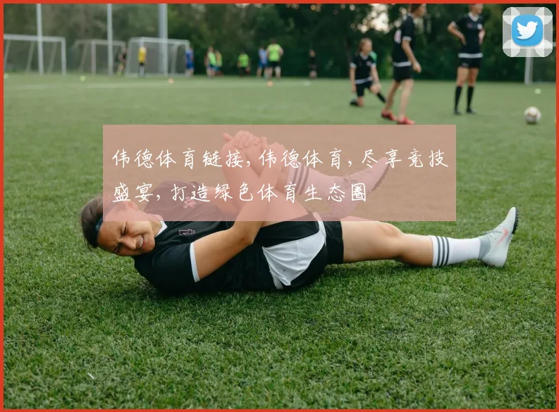 伟德体育链接,伟德体育,尽享竞技盛宴,打造绿色体育生态圈
