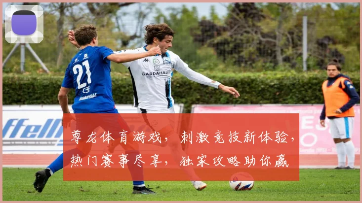 尊龙体育游戏，刺激竞技新体验，热门赛事尽享，独家攻略助你赢