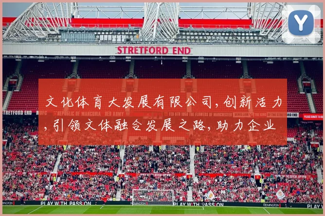 文化体育大发展有限公司,创新活力,引领文体融合发展之路,助力企业腾飞